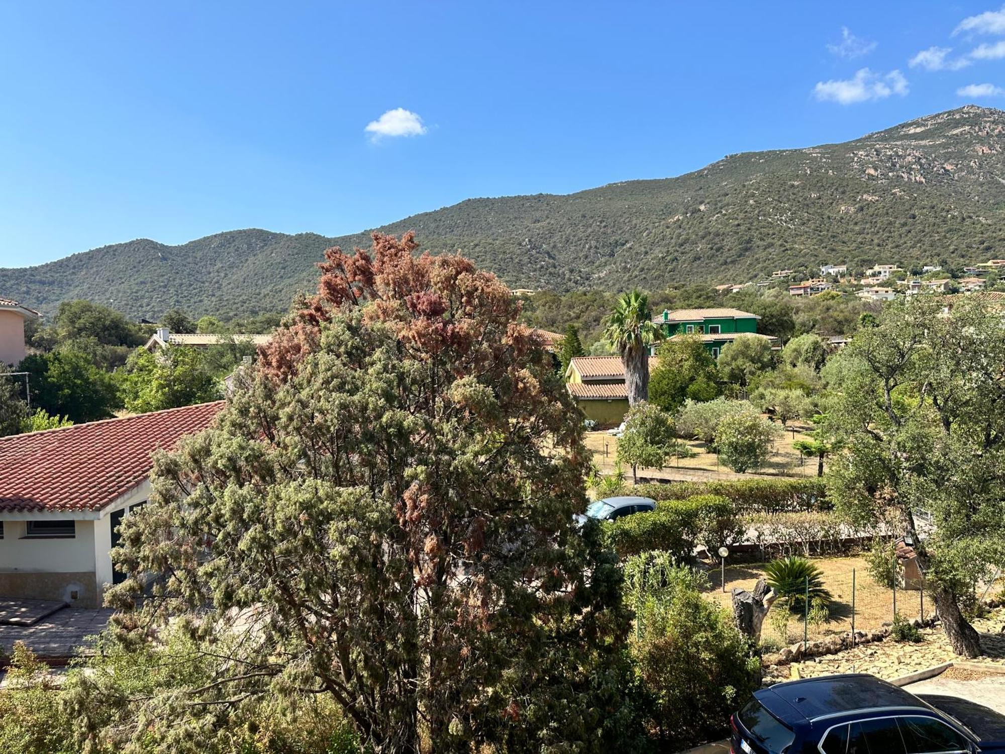 Relais Del Poggio Panzió Capoterra Kültér fotó